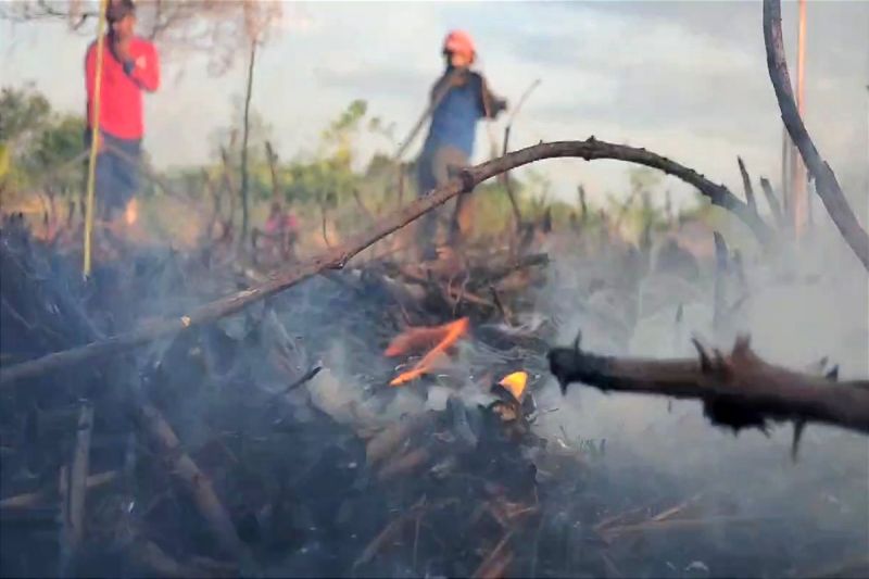 Ilustrasi Kebakaran Hutan dan Lahan di Balangan