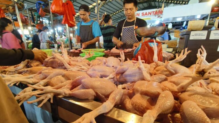 Aktivitas jual beli ayam di Pasar Flamboyan Pontianak, Kalbar.