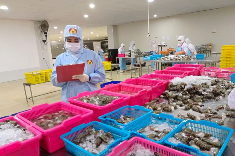 Hasil Perikanan Kaltara