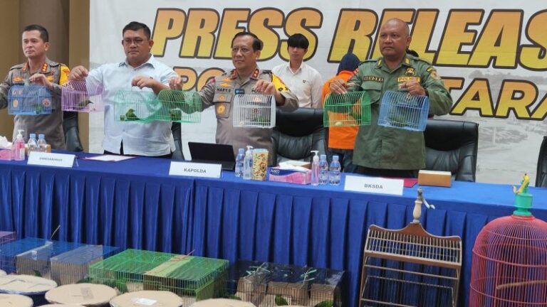 Polda Kaltara Bongkar Perdagangan 187 Ekor Cucak Hijau