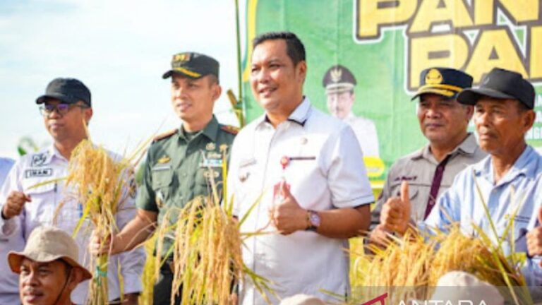 Banjarbaru jadi Satu-satunya Kota di Kalsel yang Terima Penghargaan Green City Metric 2024 dari UI