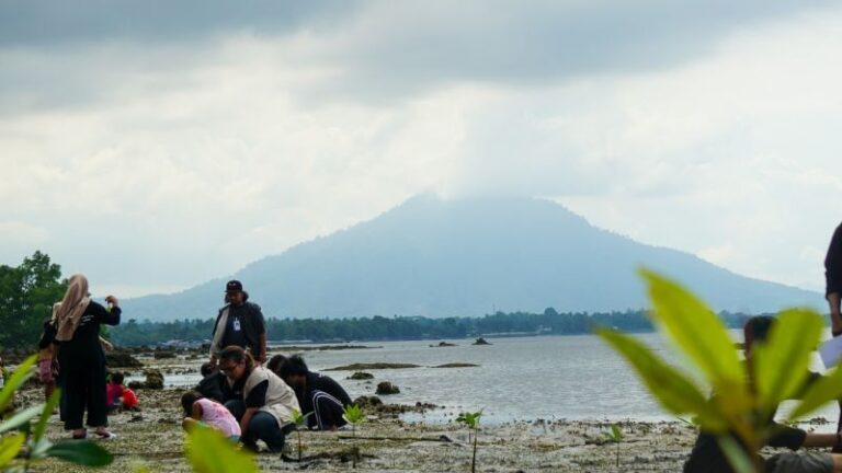 Mahasiswa dan Perusahaan Tambang, Kolaborasi Tanam Mangrove Demi Menjaga Lingkungan Pantai