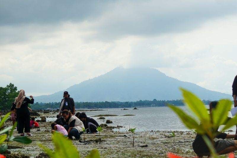 Tanam Mangrove