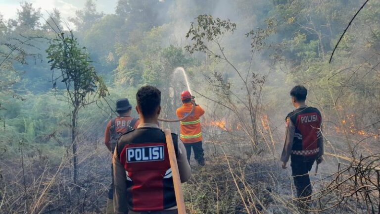 Ilustrasi - Tim Gabungan di Kabupaten Penajam Paser Utara, Kaltim, memadamkan api karhutla di Kecamatan Penajam, April 2024.