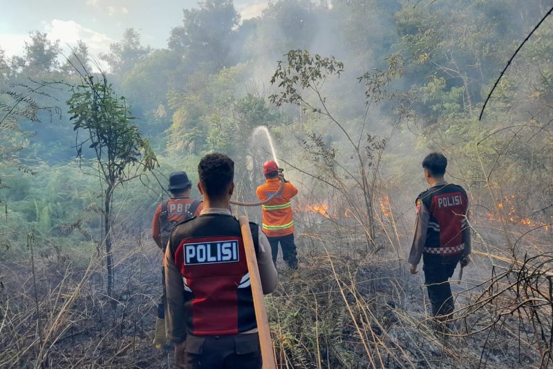 Ilustrasi - Tim Gabungan di Kabupaten Penajam Paser Utara, Kaltim, memadamkan api karhutla di Kecamatan Penajam, April 2024.