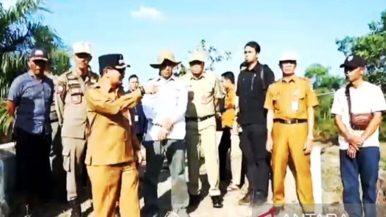 Pj Bupati Tanah Laut Syamsir Rahman saat melakukan sidak ke lokasi pertambangan ilegal.