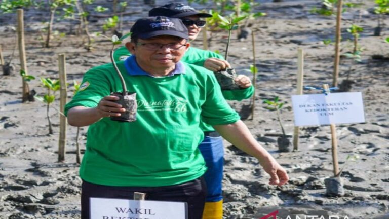 Wakil Rektor Bidang Kerja Sama, Humas, dan Sistem Informasi ULM Yusuf Azis saat memimpin penanaman bibit pohon mangrove rambai di lahan mangrove Desa Taluk Tamiang di Kotabaru. (ANTARA/Firman)