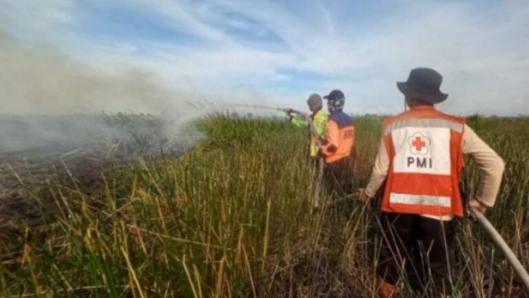 Karhutla Mendekati Bandara Syamsudin Noor, BPBD Banjar: Kami Kesulitan