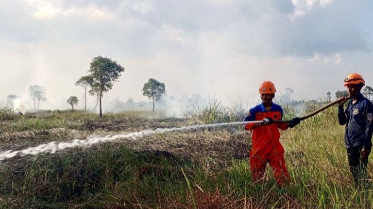 Tujuh Hektare Lahan Gambut di Banjarbaru Terbakar, BPBD Kalsel: Karhutla di Dua Titik