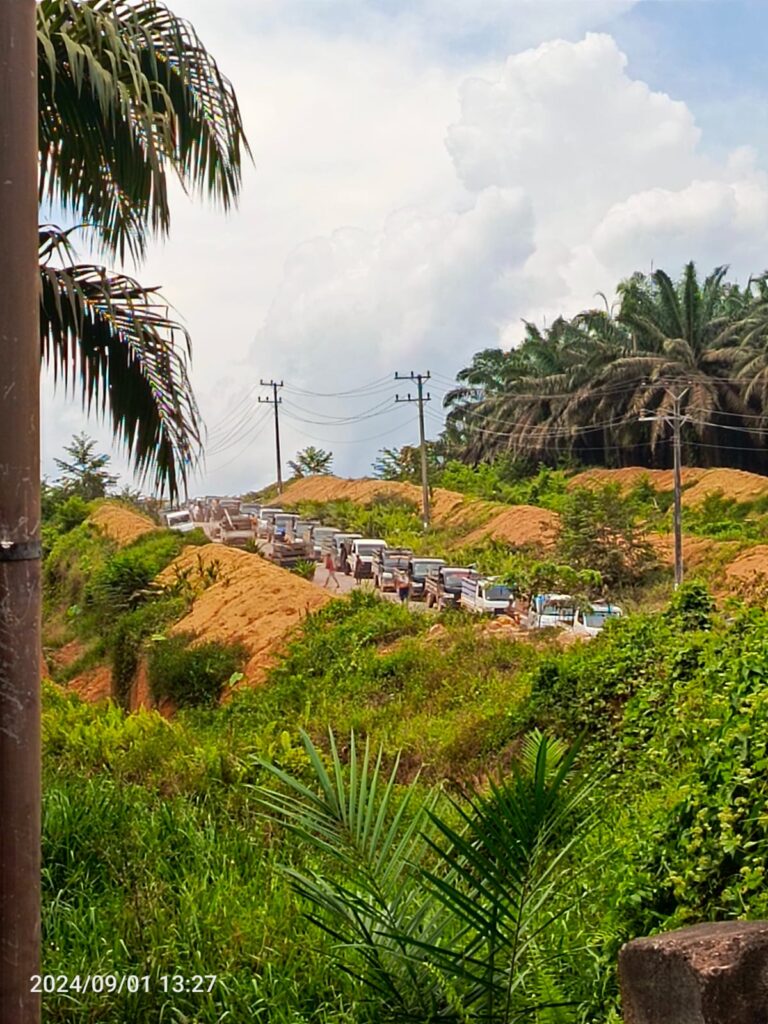 Penjarahan Kelapa Sawit di Kalimantan Tengah