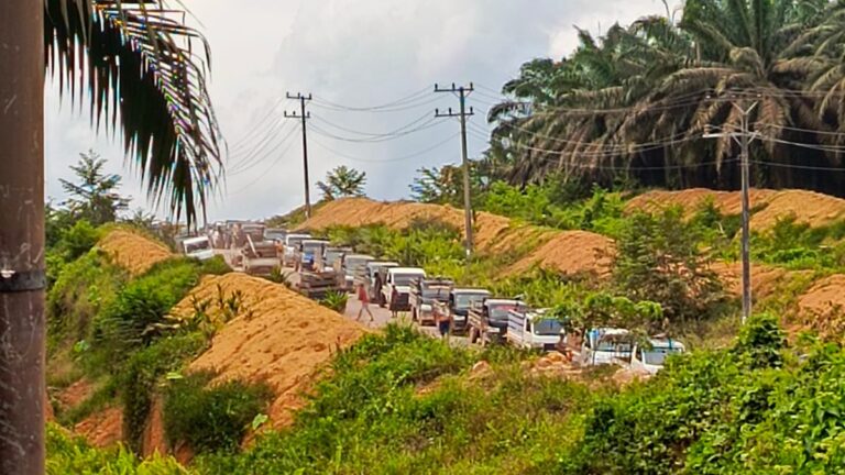 Penjarahan Kelapa Sawit di Kalimantan Tengah