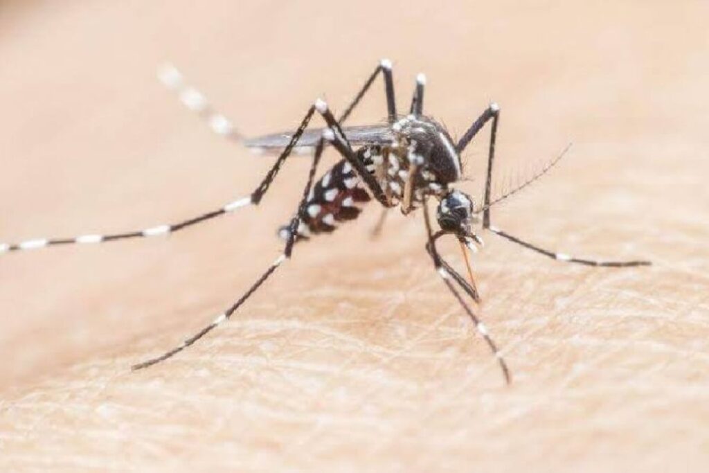 Pemprov Kaltim Salurkan 60 Ribu Kelambu untuk Cegah Penyebaran Malaria di Penajam Paser Utara