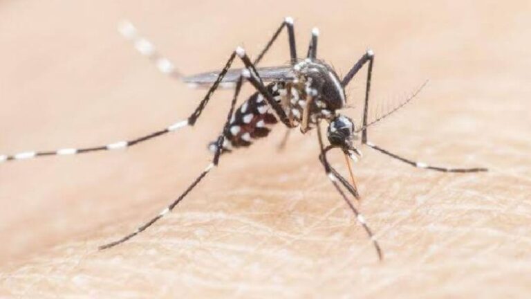 Pemprov Kaltim Salurkan 60 Ribu Kelambu untuk Cegah Penyebaran Malaria di Penajam Paser Utara