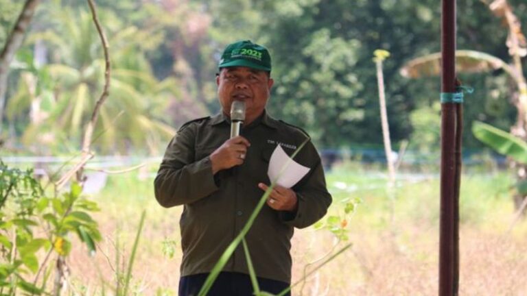 Dukung Ketahanan Pangan Kalteng, Barito Timur Panen Perdana Padi Inpari 32