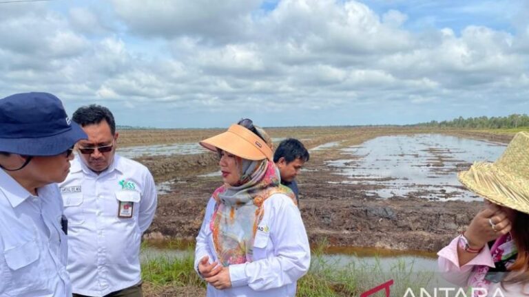 Kementan Dorong Pertanian Modern di Kapuas, Targetkan Swasembada Beras Nasional