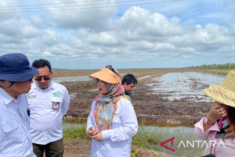 Kementan Dorong Pertanian Modern di Kapuas, Targetkan Swasembada Beras Nasional