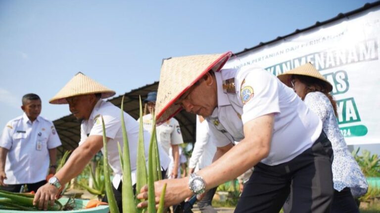 Pemkot Pontianak Ajak Petani Kembali Tanam Lidah Buaya