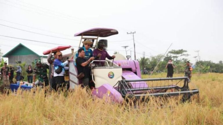 Banjarmasin Pertahankan Lahan Pertanian di Dua Kecamatan