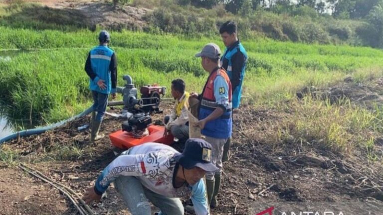 Dinas PUPR Kalsel Siapkan Langkah Antisipatif Hadapi Ancaman Karhutla