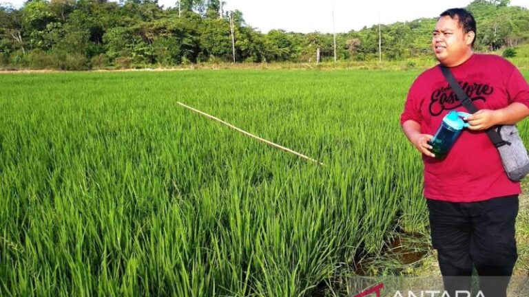 NTP Naik, Petani Kaltim Kini Makin Sejahtera?