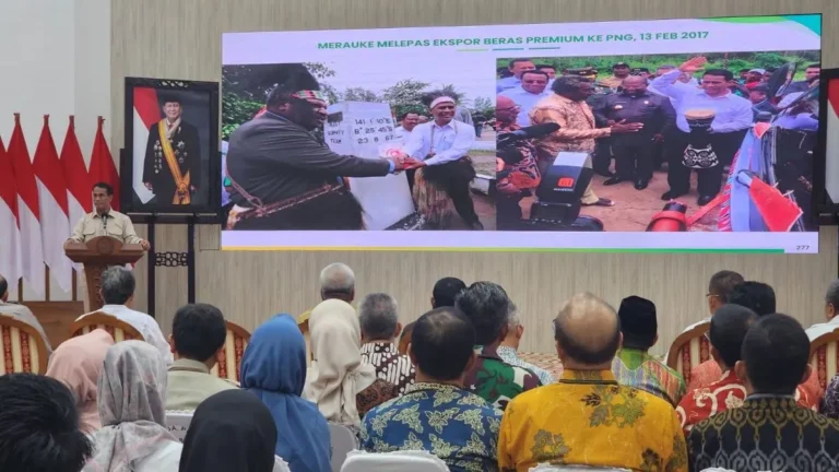 Realisasi Optimasi Lahan Rawa di Kalbar Mencapai 88,30 persen