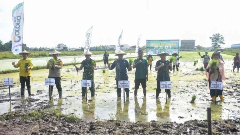 Tingkatkan Produksi Padi, Kubu Raya Giatkan Jadwal Omar dan Asep