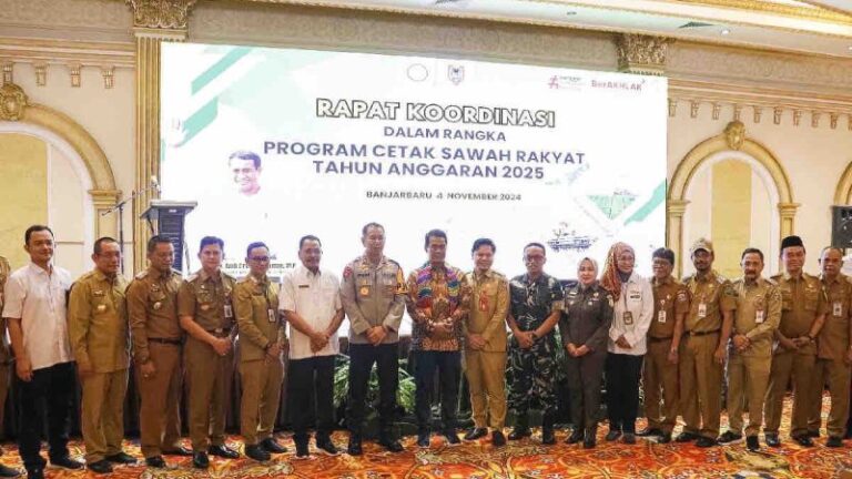 Demi Swasembada, Kementan Mau Cetak Sawah 500.000 Hektare di Kalsel