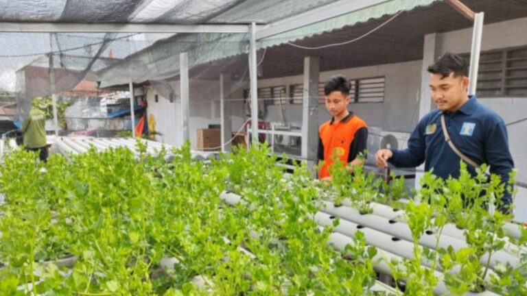 Warga Binaan Lapas Banjarmasin Dapat Pelatihan Tanaman Hidroponik