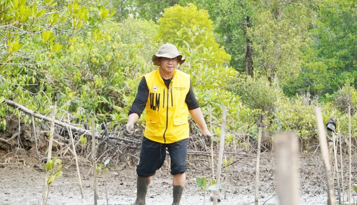ULM Hijaukan Laboratorium Lahan Basah di Hutan Mangrove Kotabaru