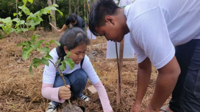 PLN ‘Energizing Green Spaces’ Nyaru Menteng Mitigasi Perubahan Iklim