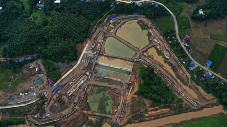 Hutan Kalimantan Terancam, Perlu Langkah Strategis untuk Masa Depan yang Berkelanjutan