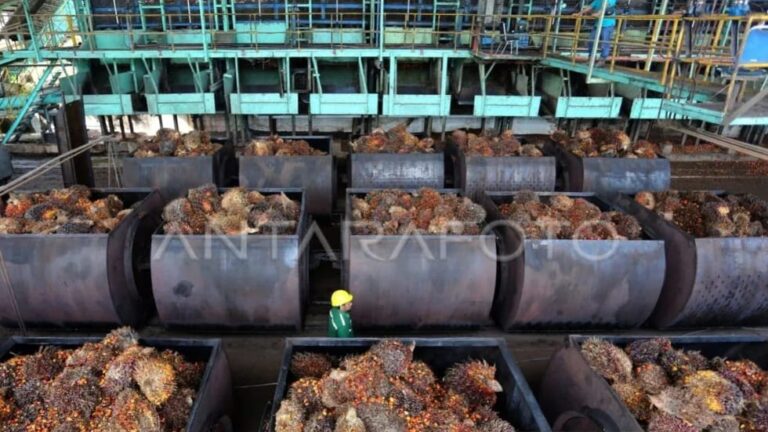 GAPKI Usulkan Pembentukan Badan Khusus untuk Industri Kelapa Sawit