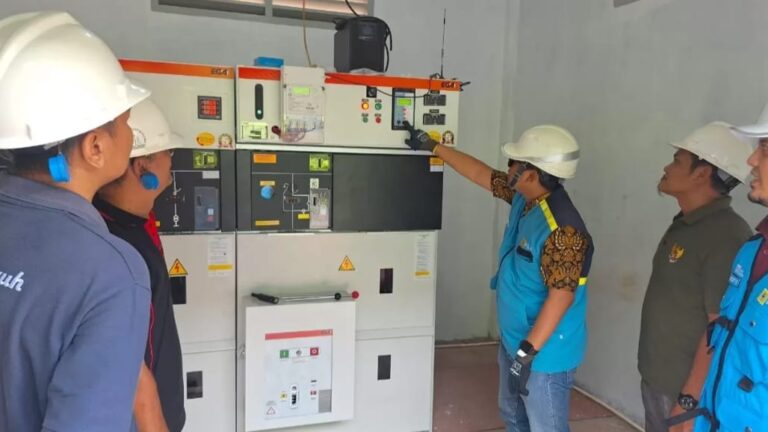 PLN Suplai 555.000 VA untuk Dukung Hilirisasi Industri Kelapa Sawit di Kalimantan Tengah