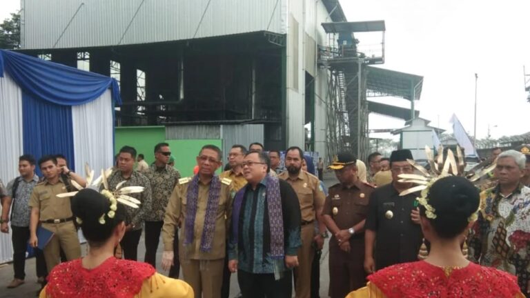 Indonesia Targetkan Penambahan 100 GW Listrik, Fokus pada Energi Terbarukan