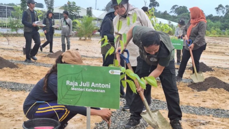 Menhut Tinjau Rumah Produksi Bibit Kawasan Ibu Kota Baru Indonesia