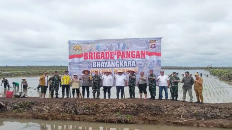 Kementan Menggandeng TNI-Polri Perkuat Brigade Pangan di Kapuas