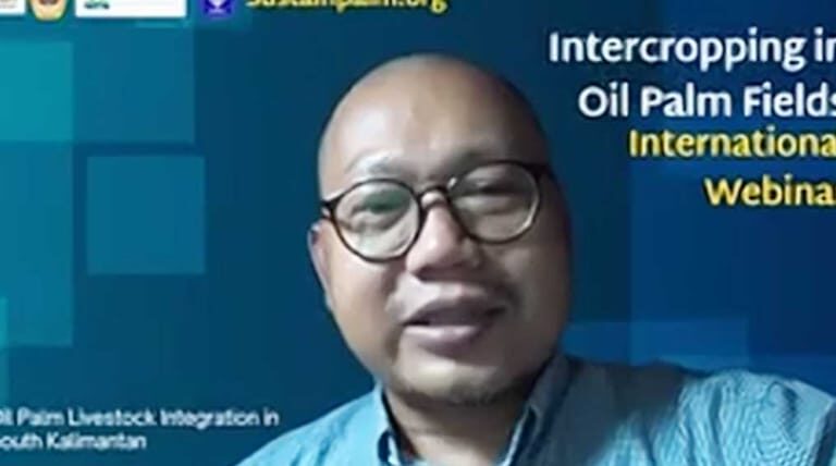 Kalimantan Selatan Sukses Terapkan Integrasi Peternakan dan Perkebunan Kelapa Sawit