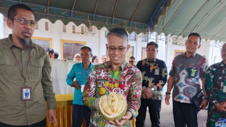 Upaya Temukan Varietas Unggul, Pemkab Lamandau Gelar Kontes Durian