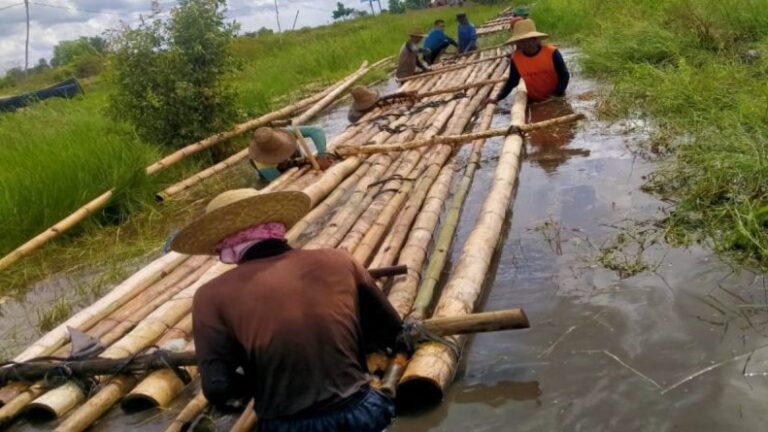 Petani di Desa Hiyung Tapin Tanam Cabai dengan Sistem Apung