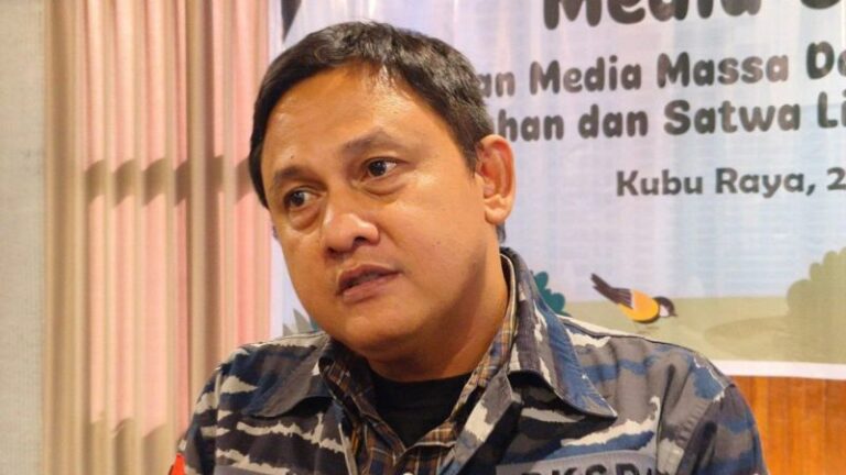 Konflik Manusia dan Orangutan di Kalbar Menurun Drastis