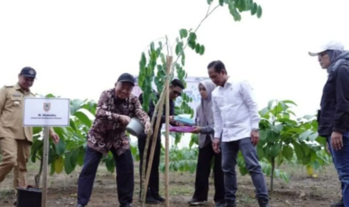 Menteri LH Ingatkan Penting Hutan Kota di Kawasan Industri Kalsel