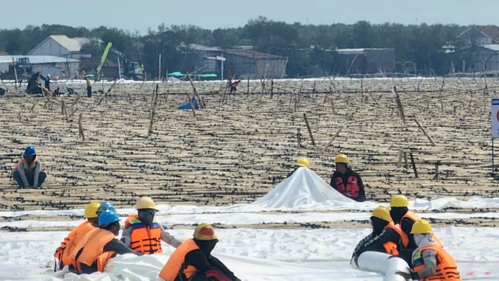 Mengayam Matras Bambu untuk Tol Tanggul Laut Semarang-Demak