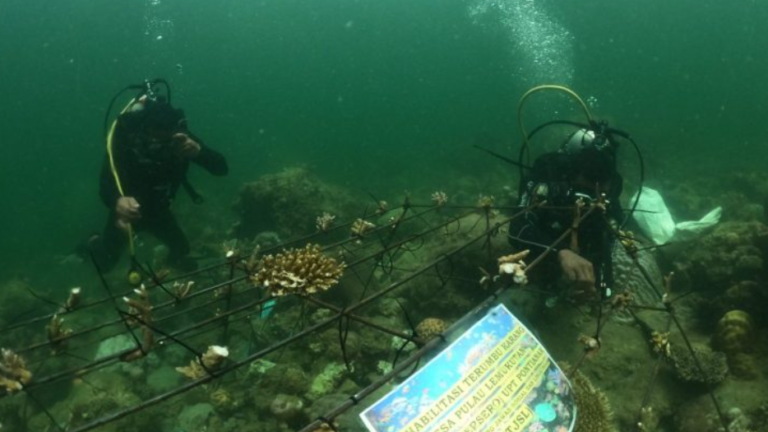PLN UIP3B Kalimantan Hadirkan 15 Program TJSL Sepanjang 2024