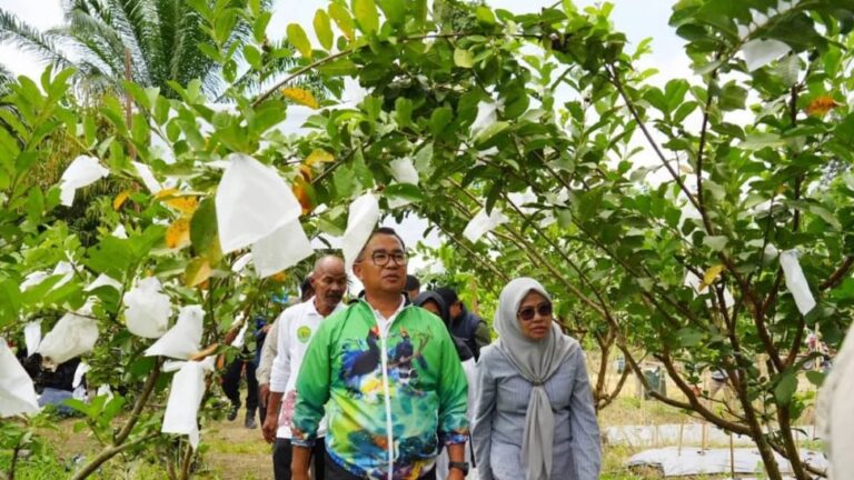 Long Kali, Paser, Diproyeksikan Jadi Sentra Buah Segar di Kaltim