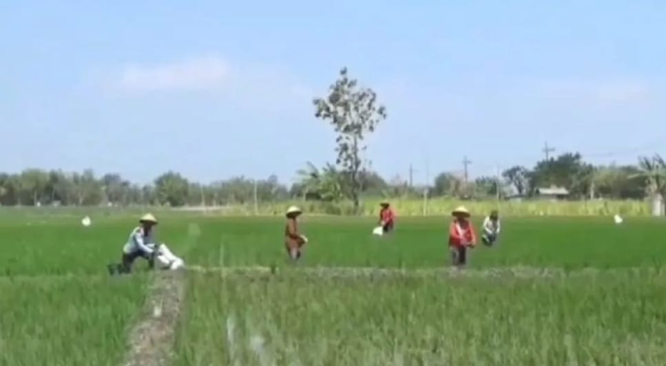 DPRD Seruyan Ajak Masyarakat Dukung Program Cetak Sawah Nasional