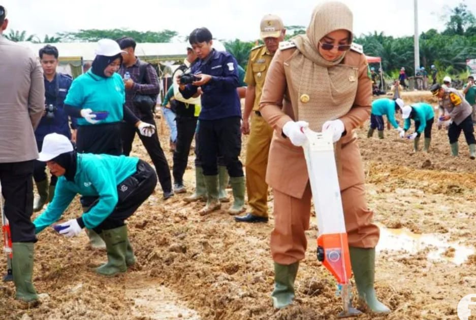 Pemkab Berau Manfaatkan Lahan Eks Sawit untuk Dukung Ketahanan Pangan