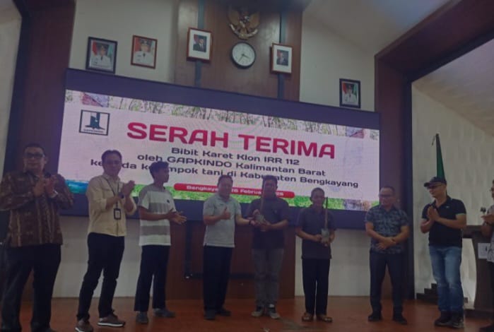 Petani Bengkayang Dapat Bantuan 6.000 Bibit Karet Unggul 