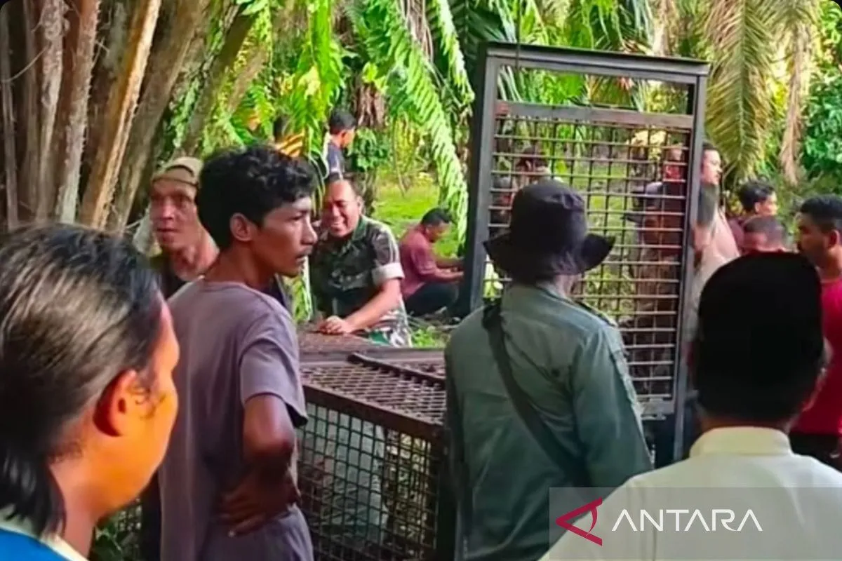 Warga Pasang Perangkap