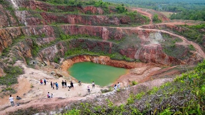 Reklamasi Tambang: Mengembalikan Kehidupan pada Lahan Pasca-Penambangan