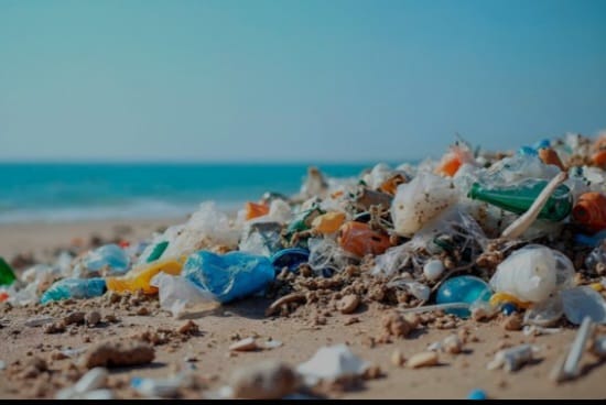 Manusia Telan Lima Gram Plastik Setiap Pekan